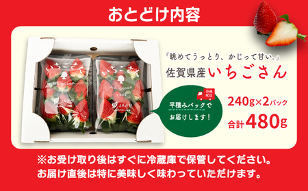 佐賀県産いちご「いちごさん」480g (240g×2P)