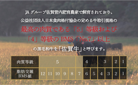 ＜定期便3回＞佐賀牛人気の定期便