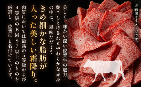 艶さし！【A4～A5】佐賀牛焼肉用　1kg（500g×2p） 【36mp-002】