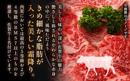 艶さし！【A4～A5】佐賀牛 切り落とし400g