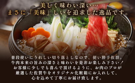 艶さし！【A4～A5】佐賀牛 切り落とし500g