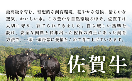 訳あり!艶さし!【A4~A5】佐賀牛しゃぶしゃぶすき焼き750gセット
