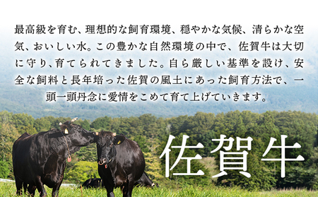 訳あり!【A4~A5】佐賀牛モモブロック(ローストビーフ用等)約500g~600g