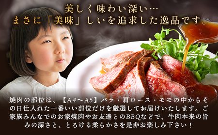 訳あり!【A4~A5】佐賀牛モモブロック(ローストビーフ用等)約500g~600g