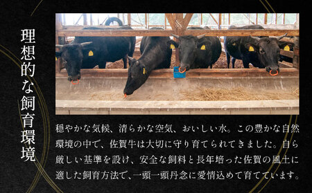 艶さし!【厳選部位】【A4~A5】佐賀牛サーロインしゃぶしゃぶすき焼き用 1kg(500g×2p)