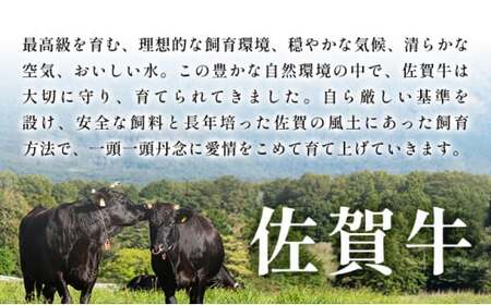 【厳選希少部位】【A4～A5】佐賀牛ミスジステーキ　約500ｇ（100ｇ×5ｐ）						