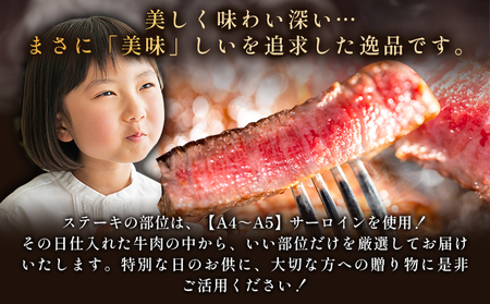 艶さし!【A4~A5】佐賀牛サーロインステーキセット 1kg(250g×4枚)