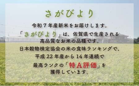 令和7年産 さがびより 5kg×3回定期便