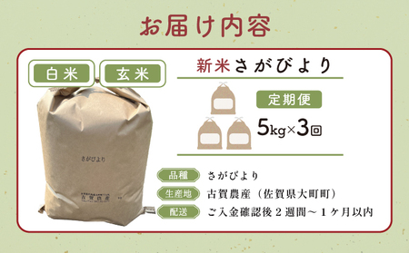 令和7年産 さがびより 5kg×3回定期便