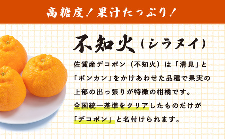 [先行予約] 佐賀産 デコポン8?12玉(約2.5kg箱) 41nf-004