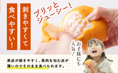 [先行予約] 佐賀産 デコポン8?12玉(約2.5kg箱) 41nf-004