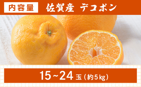 佐賀産 デコポン15〜24玉(約5kg箱) 41nf-005