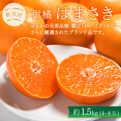 佐賀産柑橘「はまさき」 約1.5kg(4-8玉) / ふるさと納税 佐賀 フルーツ濃厚 甘い 酸味 大町 贈答 ギフト 贈り物