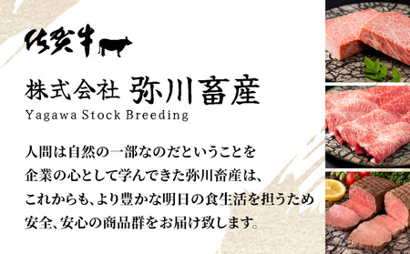 佐賀牛厚切りサーロインステーキ360g(180g×2枚)