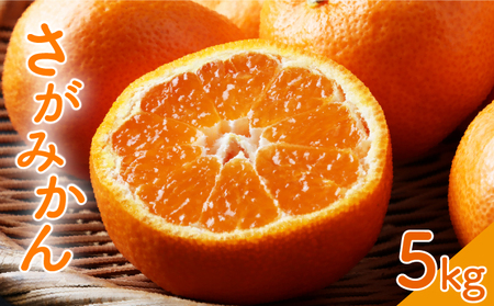 柑橘の名産地 佐賀産さがみかん約5kg箱