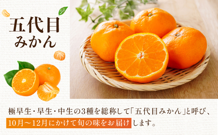 五代目みかん4.5kg/ふるさと納税 佐賀 みかん オレンジ フルーツ濃厚 甘い 酸味 大町 贈答 ギフト 贈り物 42ik-001