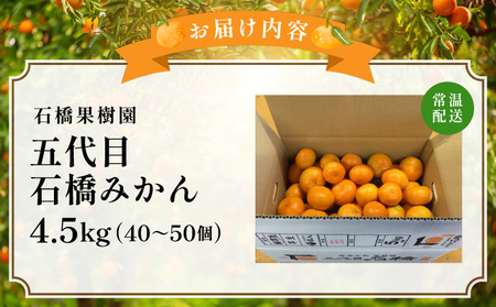 五代目みかん4.5kg/ふるさと納税 佐賀 みかん オレンジ フルーツ濃厚 甘い 酸味 大町 贈答 ギフト 贈り物 42ik-001