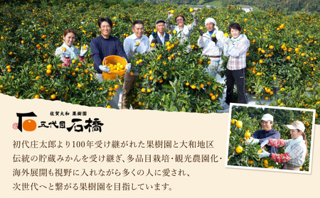 五代目みかん9.5kg/ふるさと納税 佐賀 みかん オレンジ フルーツ濃厚 甘い 酸味 大町 贈答 ギフト 贈り物 42ik-002