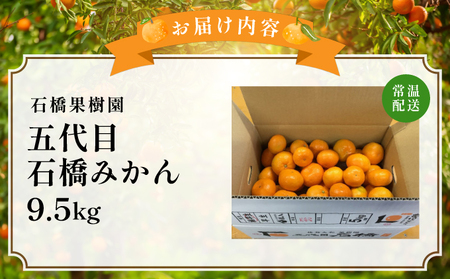 五代目みかん9.5kg/ふるさと納税 佐賀 みかん オレンジ フルーツ濃厚 甘い 酸味 大町 贈答 ギフト 贈り物 42ik-002