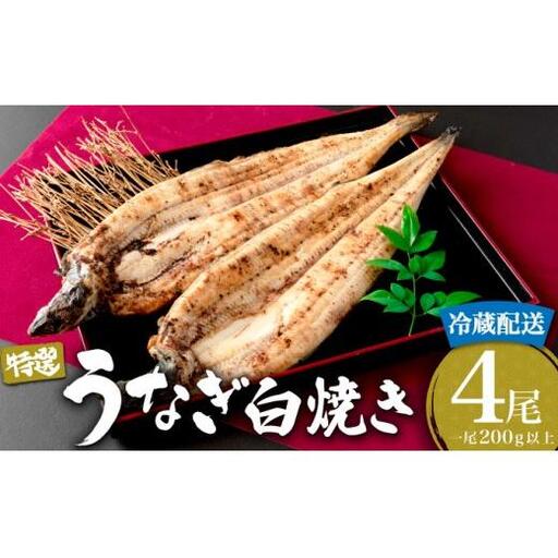 ＜2026年2月配送＞うなぎ白焼き 800g (200g×4尾) ／うなぎ 鰻 ウナギ 蒲焼 蒲焼き 土用 丑の日 特選 肉厚 たれ 国産 ふるさと 鰻丼 鰻重 うな重 うなぎたれ ギフト 贈り物 佐賀 佐賀県 送料無料
