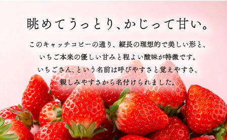 佐賀産 いちごさん3パック【41nf-008】