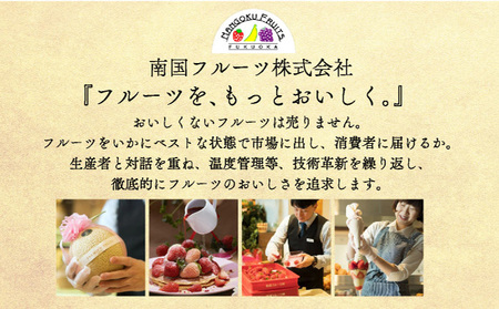 佐賀産 いちごさん3パック【41nf-008】