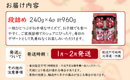 佐賀県産 いちごさん960g(240g×4P)1月～2月発送