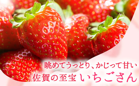 佐賀県産 いちごさん960g(240g×4P)3月～4月発送