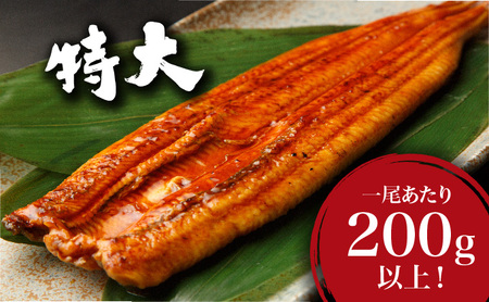 うなぎ蒲焼き 800g (200g×4尾)