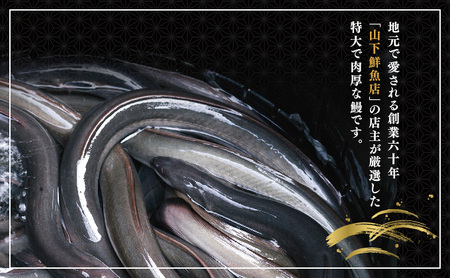 うなぎ蒲焼き 800g (200g×4尾)