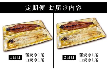 ＜定期便2回＞ うなぎ 蒲焼き 白焼き 食べ比べセット 計800g (200g×各1尾×2回)