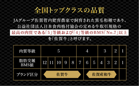 ブランド銘柄「佐賀牛」ヒレステーキ 計360g (180g×2枚)