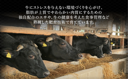 ブランド銘柄「佐賀牛」ヒレステーキ 計540g (180g×3枚)