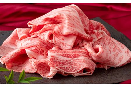 たっぷり増量！佐賀牛切落し1.4kg(700g×2パック) NK0033