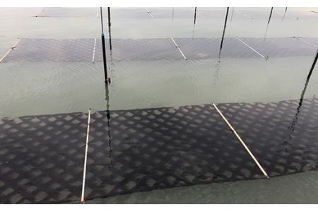 【佐賀海苔】塩・焼海苔選べる3本セット(各8切80枚入り)