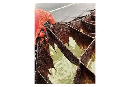 【佐賀海苔】塩・焼海苔選べる3本セット(各8切80枚入り)