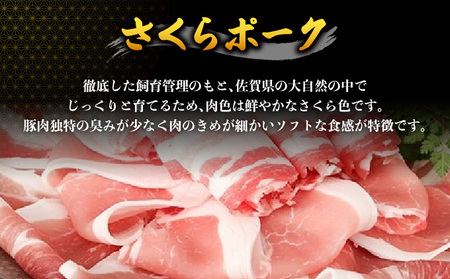 佐賀牛＆さくらポーク入り手作りハンバーグ 900g (90g×10個)