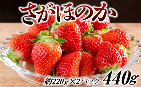 佐賀県産さがほのか440g(220g×2P)CO0019 | 佐賀県大町町 | ふるさと