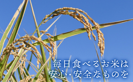 こだわりの特別栽培米】令和6年産 新米 玄米 さがびより 5kg【北原農園】[HCA021]特A米 特A評価 | 佐賀県江北町 |  ふるさと納税サイト「ふるなび」