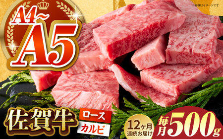 ＜全12回定期便＞佐賀牛 はしっこちゃん 500g（ロース カルビ） HCS043 佐賀牛 焼肉