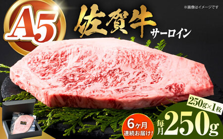 ＜全6回定期便＞佐賀牛サーロインステーキ250ｇ HCS054 ステーキ 牛肉
