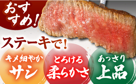 【美食家も虜になる上質な部位】＜全3回定期便＞佐賀牛ヒレステーキ 計400g（200g×2パック）【がばいフーズ】[HCS062]A5ランク 黒毛和牛 ヒレ肉 フィレ ステーキ用 佐賀 ステーキ 肉 牛肉 赤身