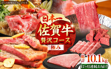 【全12回定期便】佐賀牛 贅沢コース＜極み＞ HBH135 牛肉 定期便 佐賀牛