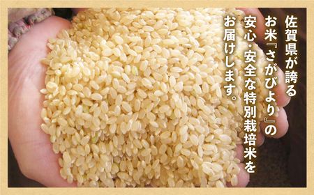 【安心・安全な佐賀の米】特別栽培米「さがびより」玄米 5kg 【だいちの家】特A米 特A評価[HAG027]