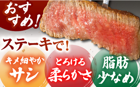 【全3回定期便】佐賀牛シャトーブリアン200g×2パック HCS104 シャトーブリアン ヒレ ステーキ