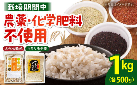 古代七穀米・キラリモチ麦セット（各500g） [HAG035]七穀米 雑穀米 古代米 もち麦