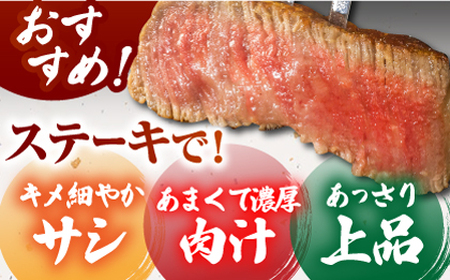 佐賀牛サーロインブロック500g HCS092 ブロック肉 黒毛和牛 A5