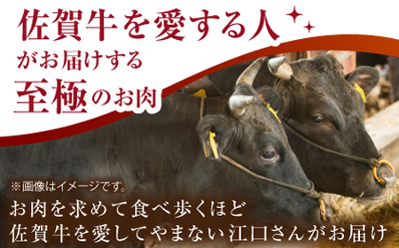 佐賀牛 サーロインスライス1kg HCS097 ブロック肉 黒毛和牛 A5