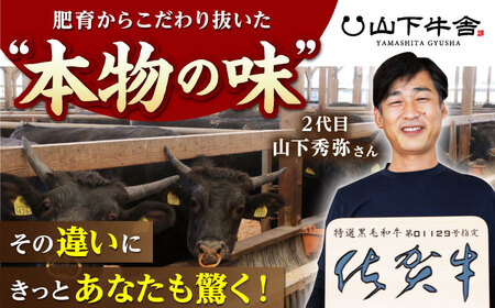 【ふるなび限定】佐賀牛 赤身・ロース 食べ比べセット（焼肉・すき焼き）【山下牛舎】[HAD150] 牛肉 肉 BBQ 鍋 すきやき バーベキュー 佐賀 赤身肉 焼肉用 すき焼き用 ロース肉 贈答 ギフト ふるなび限定品 ふるなび限定 食べくらべ 牛肉セット 限定 すき焼 佐賀 牛