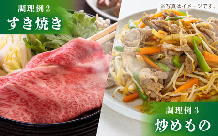 佐賀牛薄切りセットモモ/カタ赤身/ロース 吉祥 HCW001 佐賀牛 スライス